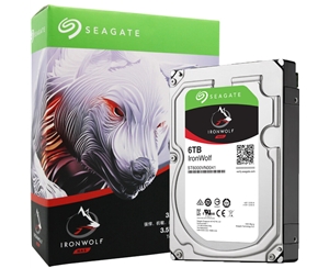 希捷（SEAGATE）酷狼NAS硬盤 6T 網(wǎng)絡(luò)云存儲陣列機(jī)械硬盤